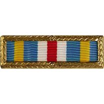 RIBB-JOINT MERIT.SVC.AWD.