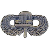 WING-CHAIRBORNE