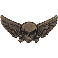 WING-SKULL & WINGS