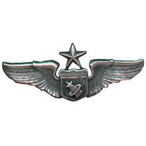 WING-USAF,ASTRONAUT,SR.
