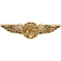 WING-USN,AIRCREW,GOLD