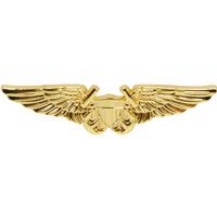 WING-USN,FLIGHT OFF.GOLD