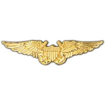 WING-USN,FLIGHT OFF.GOLD