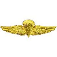 WING-USN/USMC,PARA,BASIC