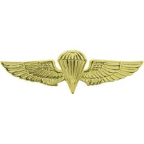 WING-USN/USMC,PARA,BASIC