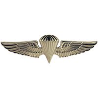 WING-USN/USMC,PARA,BASIC